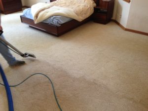 best carpet cleaning services available sparks nevada