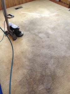 best carpet cleaning services available lake tahoe california